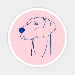 Weimaraner (Pink and Blue) Magnet